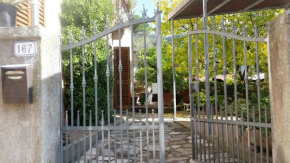 Gessy's Lucca